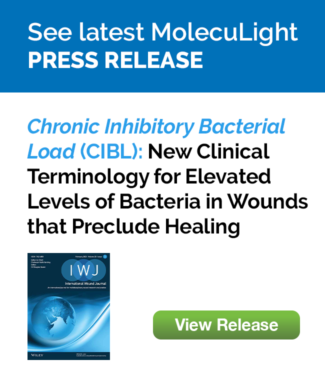 Chronic Inhibitory Bacterial Load (CIBL): New Clinical Terminology  for Elevated Levels of Bacteria in Wounds that Preclude Healing